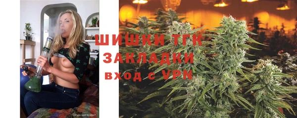 гашик Коряжма