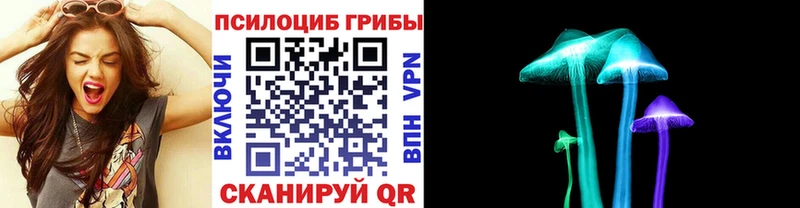 наркотики  Камышлов  Псилоцибиновые грибы ЛСД 
