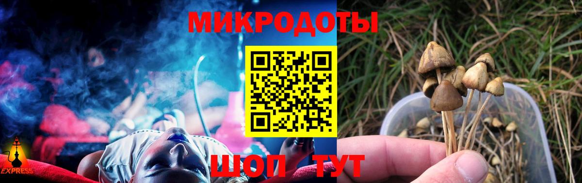 Камышлов  Псилоцибиновые грибы MAGIC MUSHROOMS  Вход с VPN 