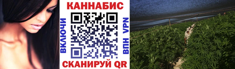 Каннабис Bruce Banner  мега ONION  Камышлов 